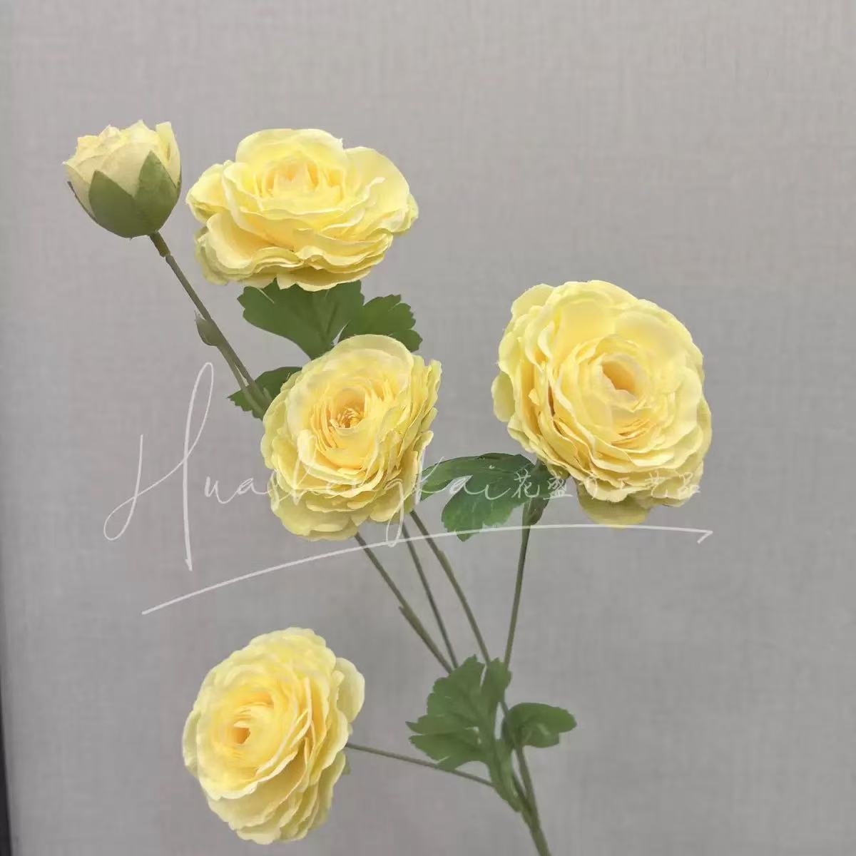 5개의 머리가 있는 연꽃