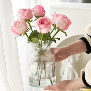 Transparent Glass Vase for Hydroponic Fresh Flowers, Rose Arrangement, Trendy Home Decor for Living Room, Modern Minimalist Ins Style