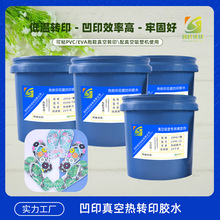 274Ь3dDӡĤzˮ 3DЬEVA/PVCDӡzˮ Dӡzˮ