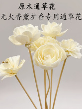 ͨ�ݻ���޹�U����ٗldiy��ˮ�]�l����¶ˮ��ˮ��޹���͔Uɢ��