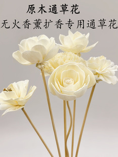 ͨ�ݻ���޹�U����ٗldiy��ˮ�]�l����¶ˮ��ˮ��޹���͔Uɢ��