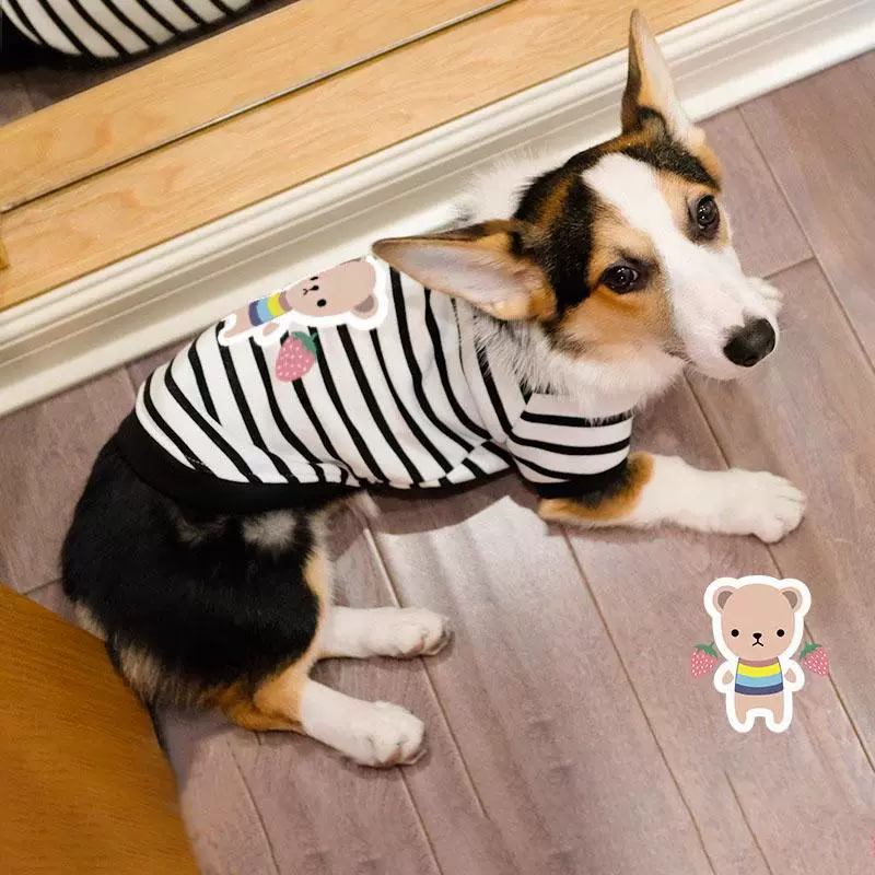 Собачья одежда Kogi весной и осенью тонкая маленькая собака среднего размера весной