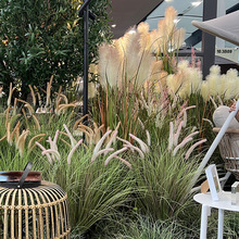 �W�t¶�I�L�Gֲ�����JȔ�ݷ��滨���Թ�β�Ͳ��辰�پGֲ���^�b�