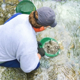 安检探测器;矿业物探仪器;其他户外用品
