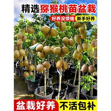 �J���Ҙ����޽Ӽt�ľG��ܛ���ͺ��ϱ��ļ��Nֲ����ͬ�����Ե���