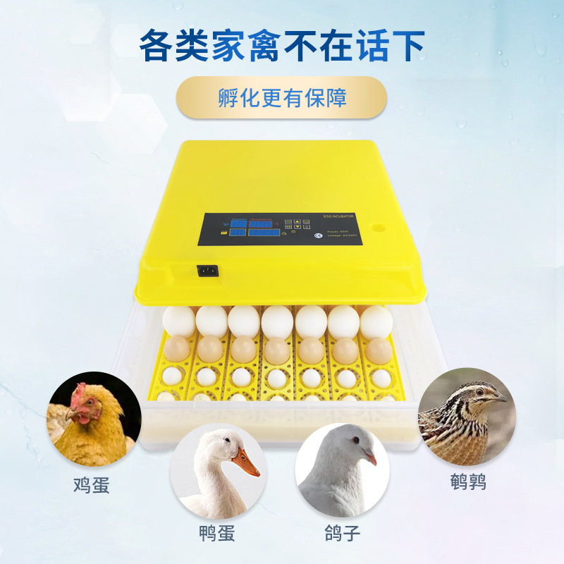 56 unidades de incubadora automática inteligente hogar incubadora de pollo pequeño mini pollo pato codorniz equipo de incubación