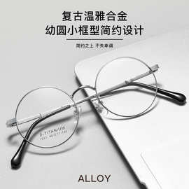 2023年小红书爆款复古文艺小框圆眼镜素颜镜架1023TH丹阳眼镜批发