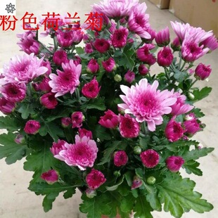 �M�ں��m�ջ��绨�����Ԏ������l؛���¾�ֲ���̨�͏d��ݗ����]