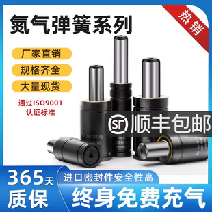 Imported Mold Nitrogen Cylinder Nitrogen Spring Nitrogen Gas Spring Mold Spring Stamping High Temperature Gas Spring Compression Spring Nitrogen