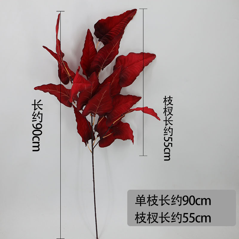 微信图片_20220516155942