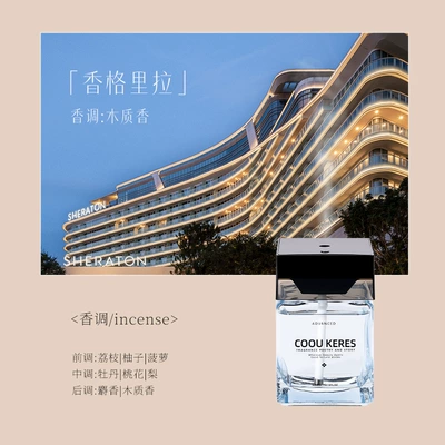 in hotels, Car Perfume Aromatherapy - premium-water-based-aromatherapy-shangri-la-bottle