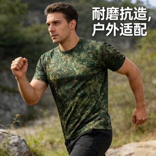 �羳������g�ԲʈA�I�����T���ܲ����T���������e����͸������