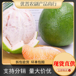 ����̩����������r��Ƥ�t�������������]��Ƥ�t��������һ�����l