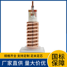 WDZB2-RTTYZ  WDZB-RTTYZ  WDZC-RTTYZ�͟��o�u�V��^��������|