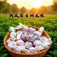 ���Lկ��Ř�������b �����ն��� 2024���^����ɽҰ������d