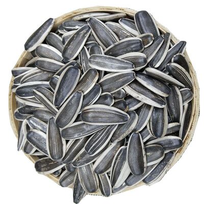 melon seed bulk Wholesale 15 Inner Mongolia Loop Wuyuan Sunflower seeds Original flavor grain new goods Sunflower