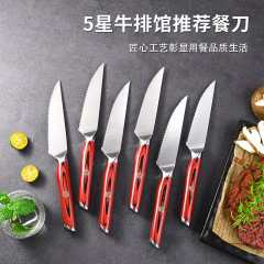 瑞泰新品德國鋼4116西餐餐刀牛排刀鋒利刀具G10鋸齒牛扒刀套裝