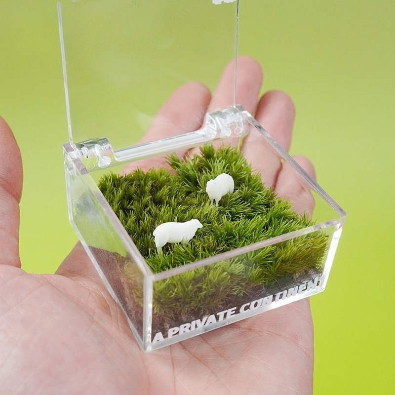 怠け者芝生コケ微景観デスクトップオフィス創意緑植置物diyプレゼント卒業シーズンプレゼント|undefined