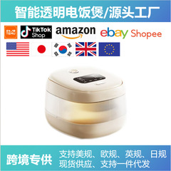 外国貿易AI音声透明発光3L炊飯器110V多機能スマート炊飯器立体加熱