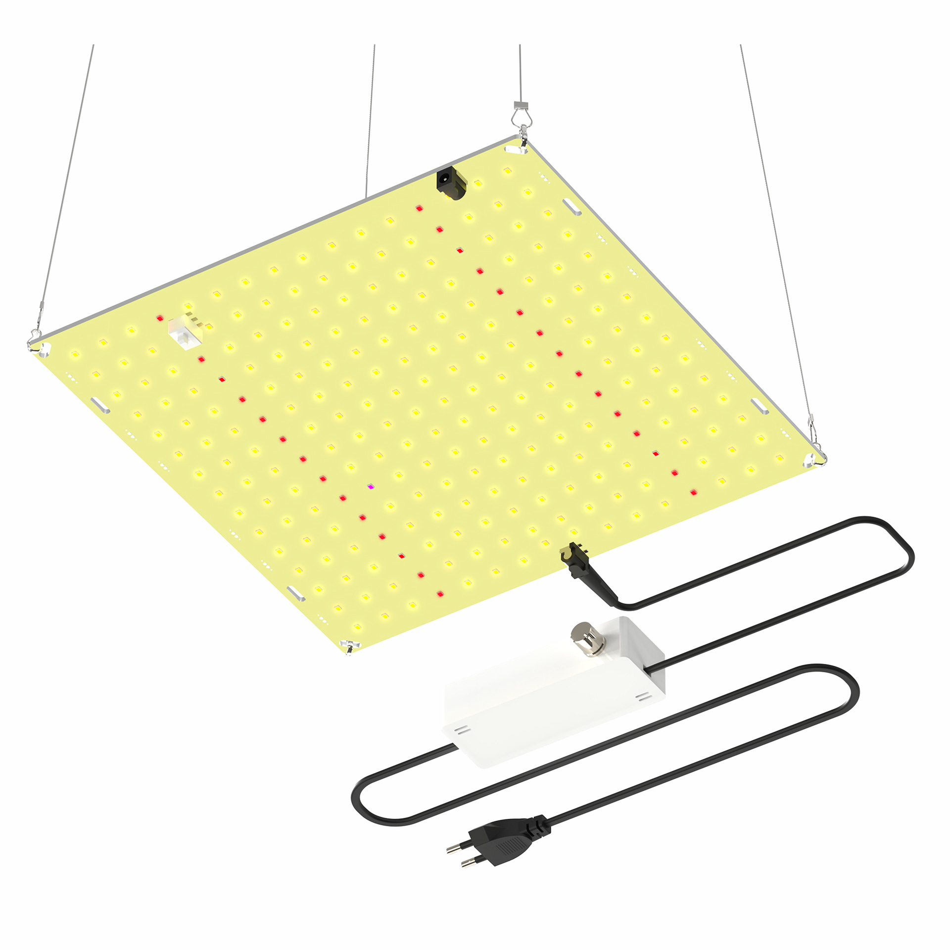 Lámpara LED regulable de fábrica para el crecimiento de plantas, luz cuántica de relleno para plantas suculentas y plántulas