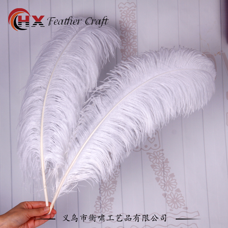 Plumas de avestruz DIY red ins rosa de avestruz accesorios de fotografía de camello adornos de plumas de boda decoración