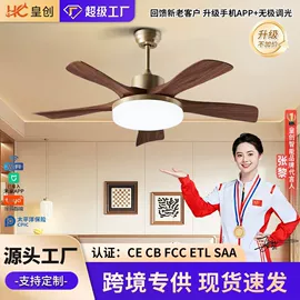 风扇灯;吸顶灯;智能家居