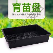 多肉育苗框种菜盆特厚无孔收纳框花苗种花实心加大插播扦插塑料托