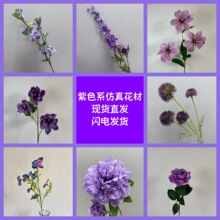 ��ɫϵ��c���滨���b�Y·���Y�üٻ����������������\��