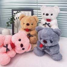 情人节礼物玩偶抱心熊娃娃坐板玫瑰熊外贸泰迪熊毛绒玩具小熊公仔