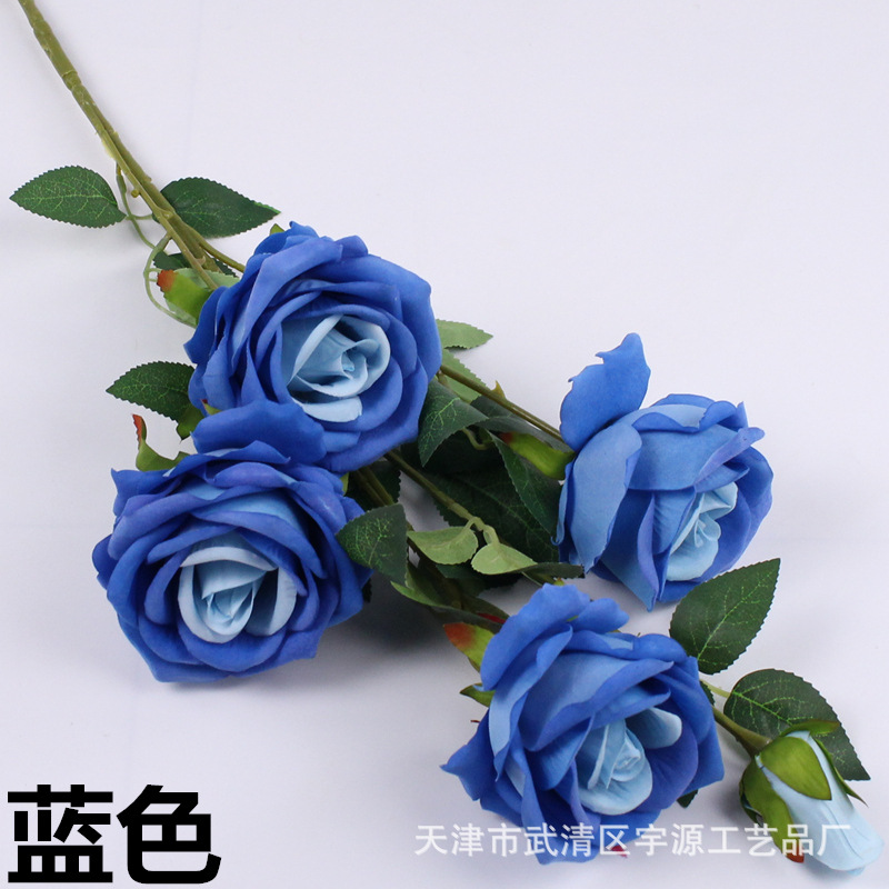 img_8075_副本_副本.jpg