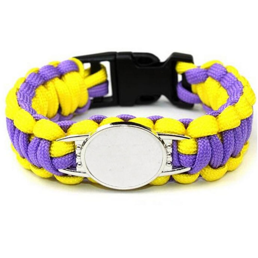 미네소타 바이킹