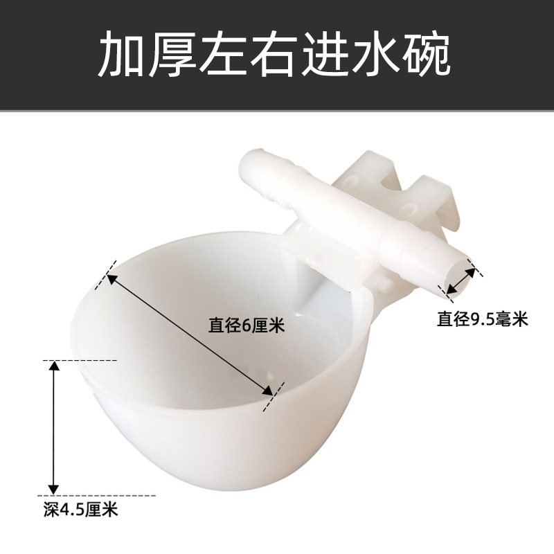 Tazón de agua de la paloma bebedor automático Loro Bird bebedor automático paloma caja de comida caja colgante bebedero