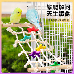 オウムの剣麻はネットに登ります。