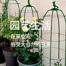 阳台球兰花爬架庭院新款花藤爬架绿萝植物支撑杆月季花支架可伸缩