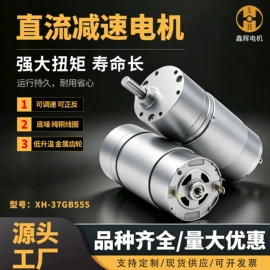 微型电动机