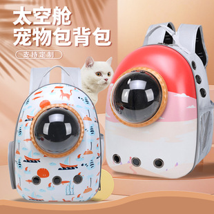 Factory Direct supply outing pet bag 2023 new fashion transparent backpack space bag lightweight breathable side open cat bag