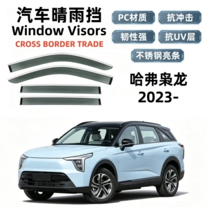 Suitable for 23 models of Haval Xiaolong, rain guards, car window rain shields, cross-border export and dropshipping