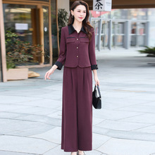 2025年秋季新款洋气时尚套装女韩版修身气质通勤妈妈装潮流两件套