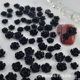 Explosive Pearl Camellia nail jewelry Aurora transparent nail decoration flat drill resin nail drill wholesale