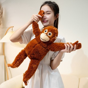 �羳�ɐ۴��������L��Գë�q������ż�羳����б�汳��������߱�