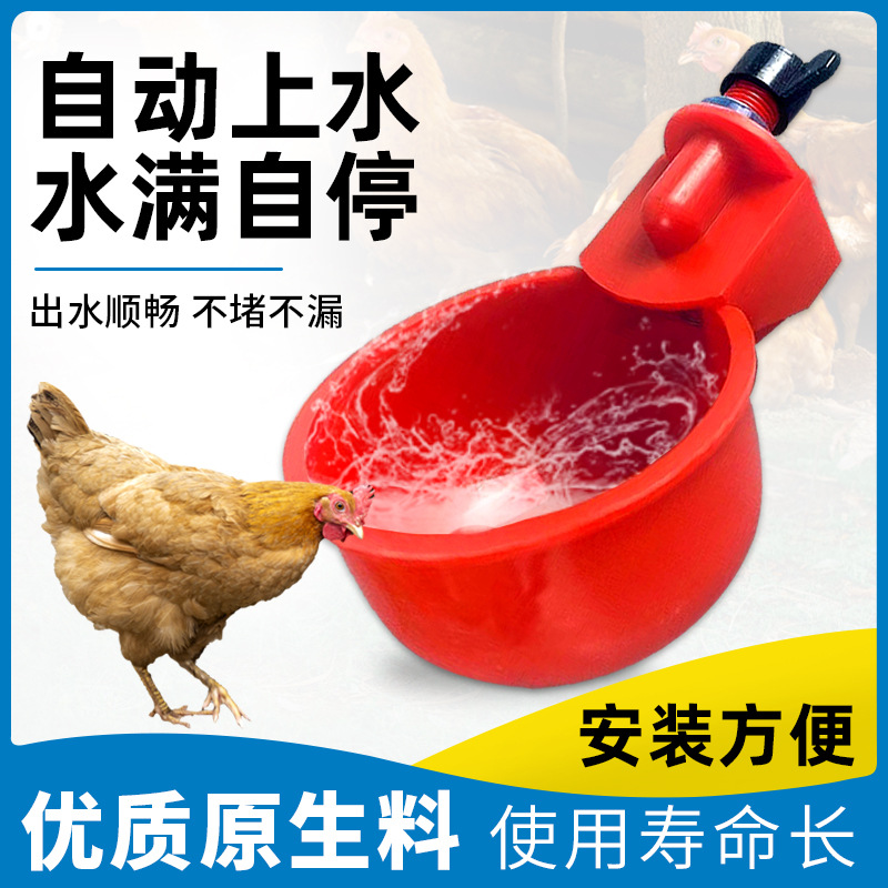 鸡用自动饮水器家禽饮水碗鸡鸭鹅喝水碗鹌鹑雏鸡鸭鸟小鸡