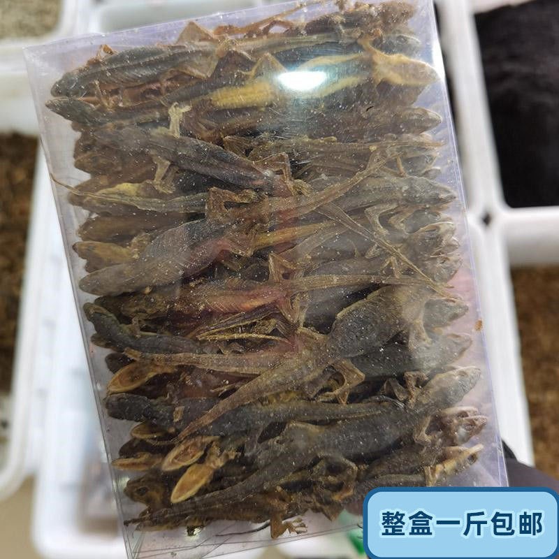 Tian Long Dried Gecko Whole Herb 500g Traditional Chinese Herbal Material overview