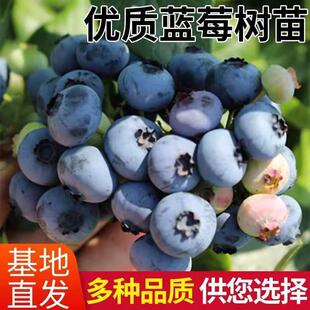 �{ݮ���玧���l؛�����̨��������ͥԺ�ش��ļ��ͺ��ϱ����Nֲ