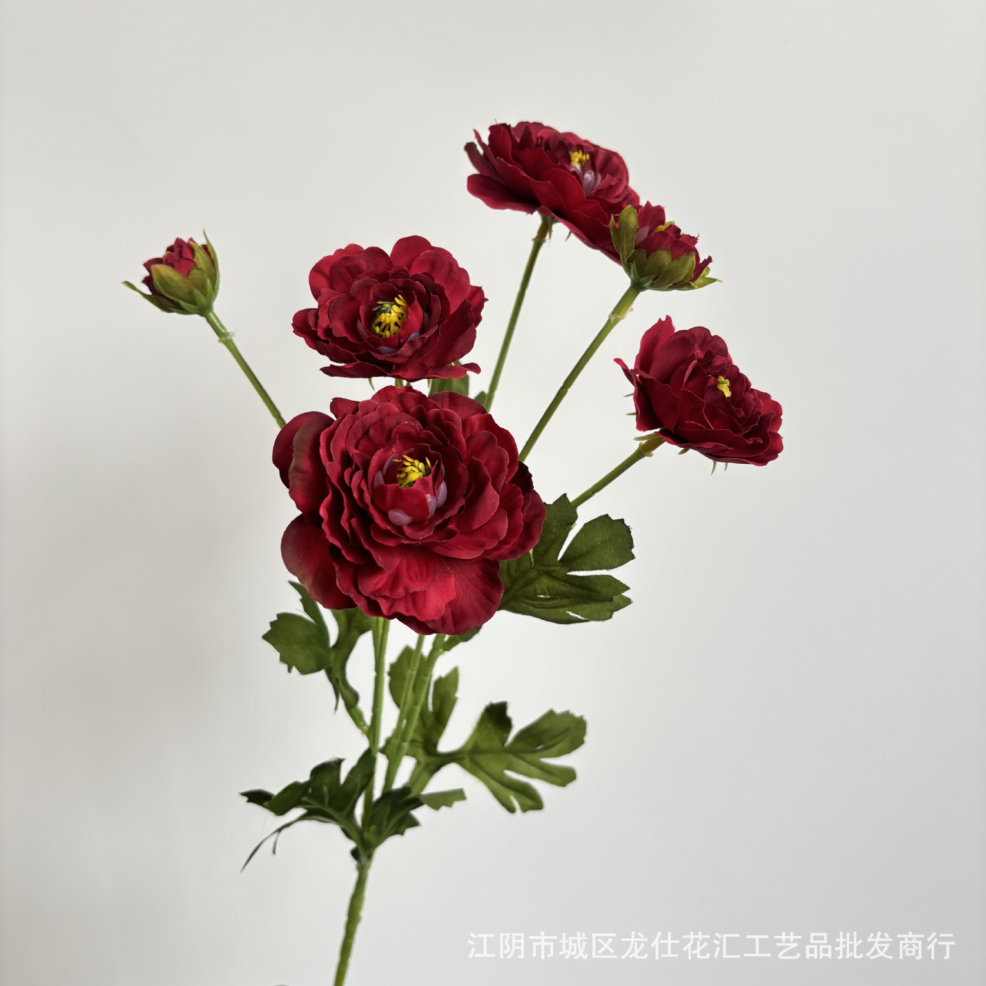 6개의 머리가 있는 연꽃