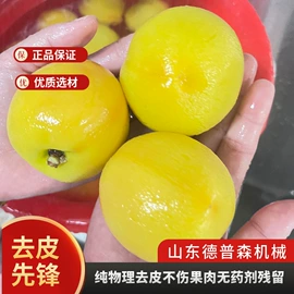 休闲食品加工;果蔬加工设备