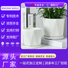 HY70010 德化同鑫陶瓷花盆 18条全自动滚压成型生产线 加工定制