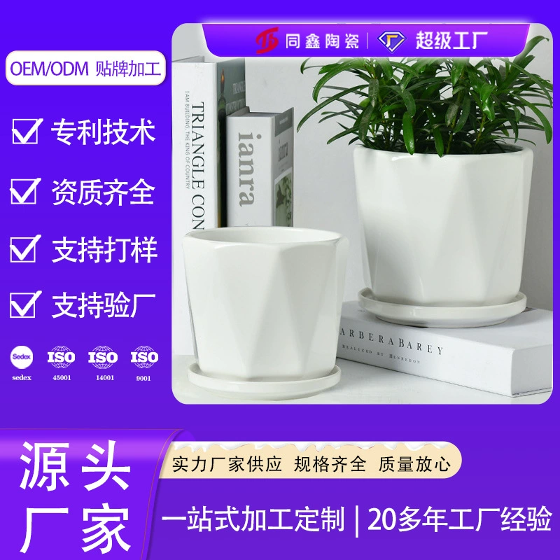 Завальцовка цветочного горшка 18 ХИ70010 Дехуа Тонгксин керамическая полностью автоматическая формируя производственную линию обрабатывая изготовление на заказ