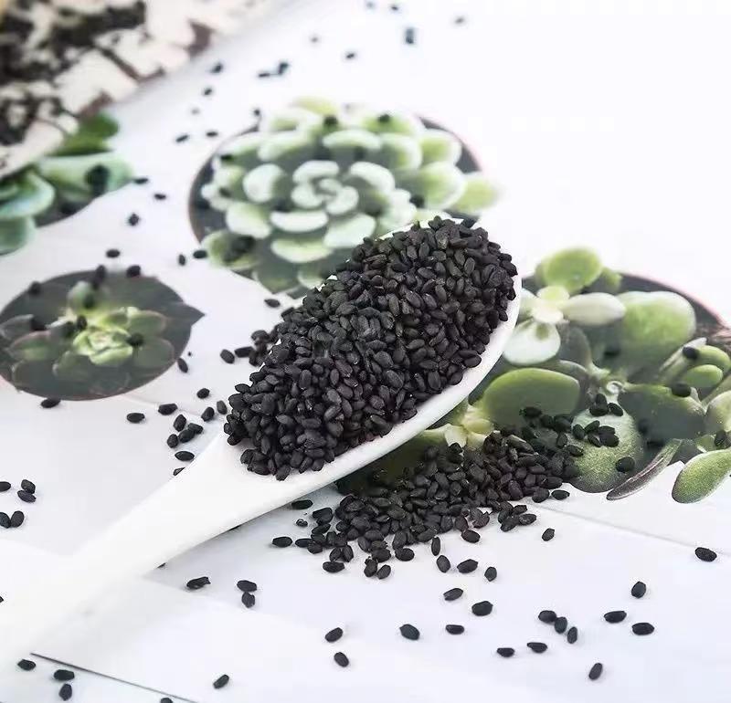Lan Xiang Zi (Ocimum basilicum Seeds) — Taiwanese Basil Seeds for Herbal Tea & Satiety specifications
