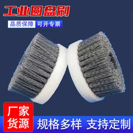 尼龙丝圆盘刷磨料丝杜邦丝抛光工业除尘打磨毛刷盘剑麻角磨机刷盘