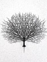 ����[�P�b�Ʒɺ����P�����˛��˱Pʽ�c�Y���r����[��